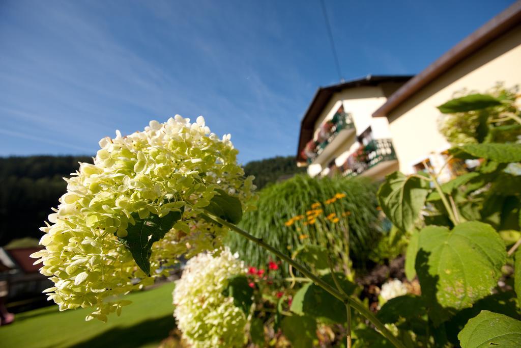 Hotel Moenichwalderhof Monichwald Extérieur photo